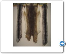 collection 11 Traforazione lineare 14